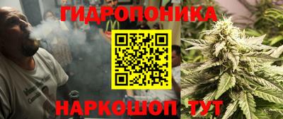 твердый Дубна
