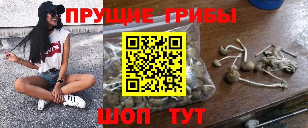 Псилоцибиновые грибы ЛСД  Вход с VPN  Медногорск 